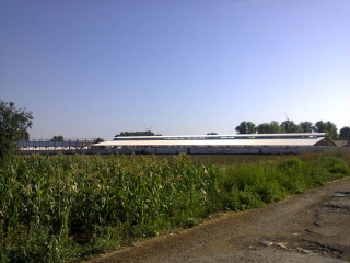 hala metalica dorobantu_55