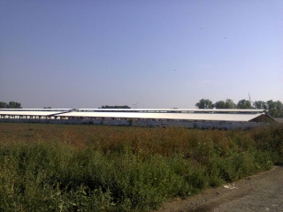 hala metalica dorobantu_56