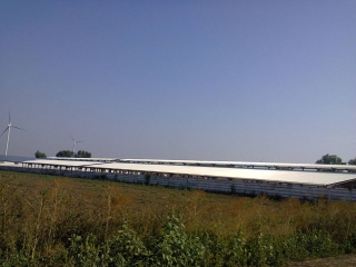 hala metalica dorobantu_57