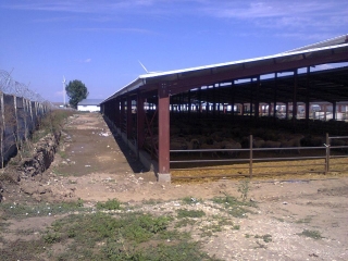 hala metalica dorobantu_59