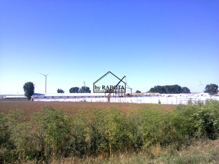 hala metalica dorobantu_15