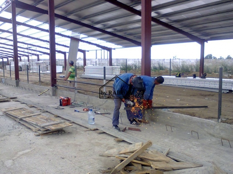 hala metalica dorobantu_50