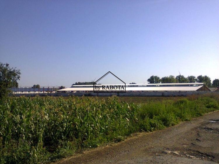 hala metalica dorobantu_55