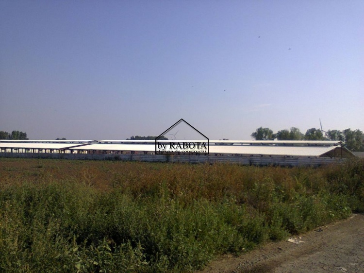 hala metalica dorobantu_56