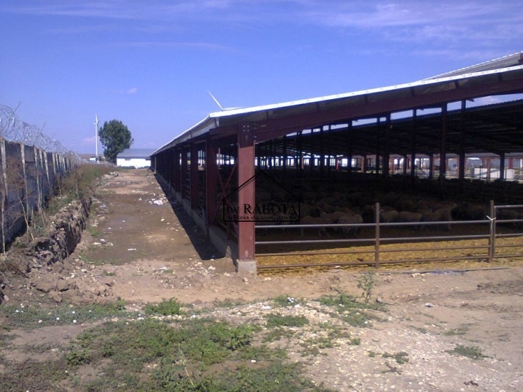 hala metalica dorobantu_59