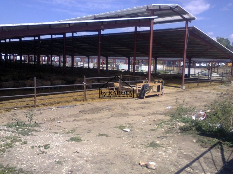 hala metalica dorobantu_60