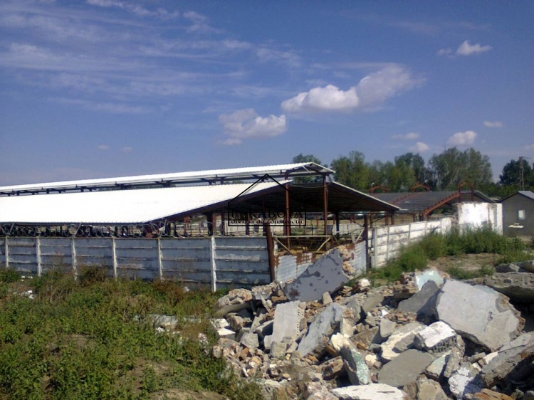 hala metalica dorobantu_62