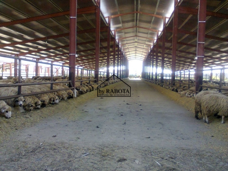 hala metalica dorobantu_64